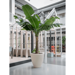 Planter Baq Polystone Plain Couple Natural, XXL