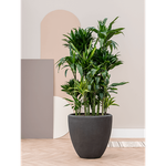 Planter Baq Polystone Plain Couple Smoke, XL