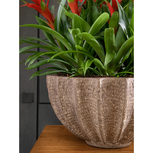 Кашпо Nieuwkoop Baq Polystone Rough Bowl Rock, Розмір M