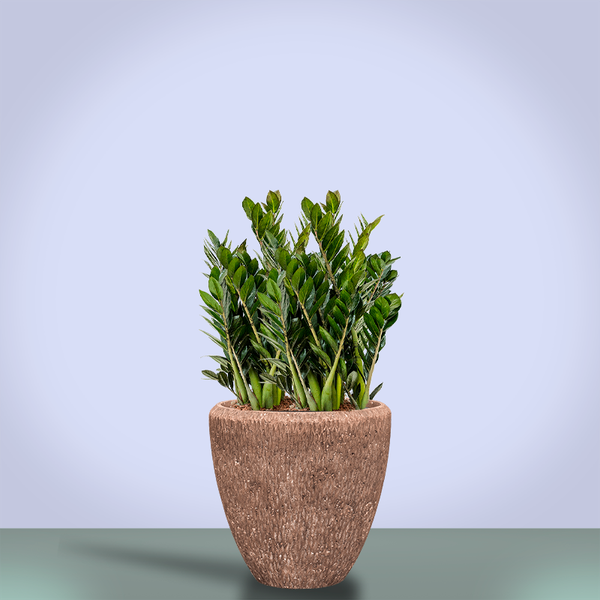 Planter Baq Polystone Rockwell Couple Rock (with liner), S