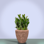 Planter Baq Polystone Rockwell Couple Rock (with liner), S