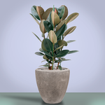 Кашпо Baq Polystone Plain Couple Grey (с вкладышем), M