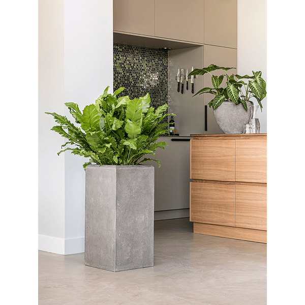 Кашпо Baq Polystone Plain  Square Grey, Розмір М