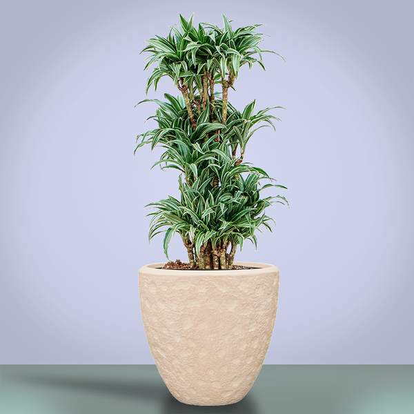 Кашпо Baq Polystone Rockwell Couple Natural (с вкладышем), S