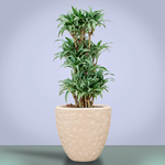 Кашпо Baq Polystone Rockwell Couple Natural (с вкладышем), S