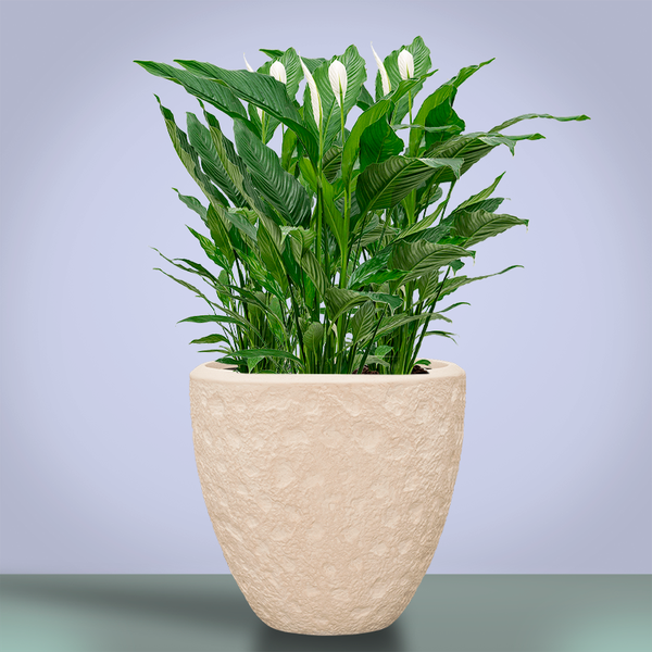 Кашпо Baq Polystone Rockwell Couple Natural (с вкладышем), M
