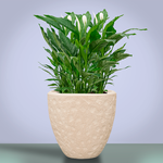 Кашпо Baq Polystone Rockwell Couple Natural (с вкладышем), M