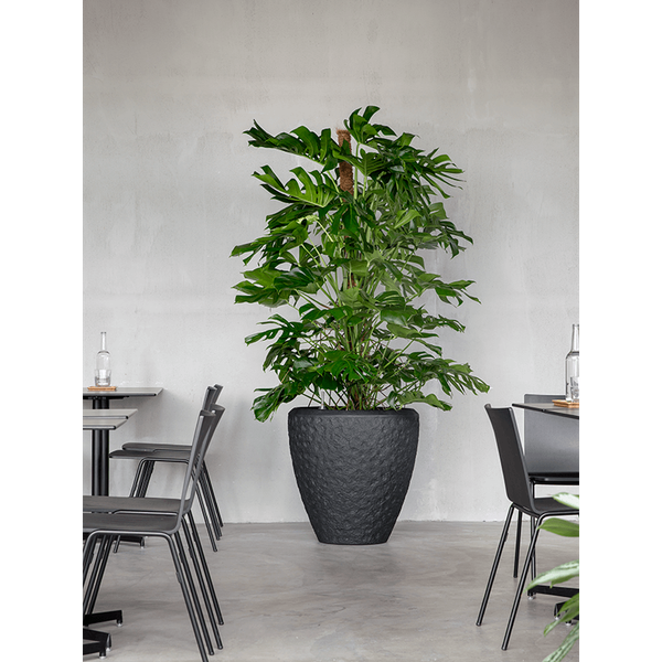 Planter Baq Polystone Rockwell Couple Smoke (with liner), M