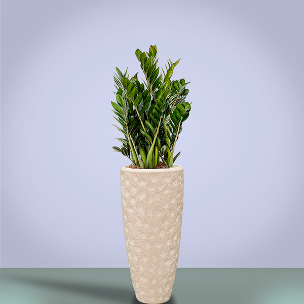 Planter Baq Polystone Rockwell Partner Natural (with liner), M