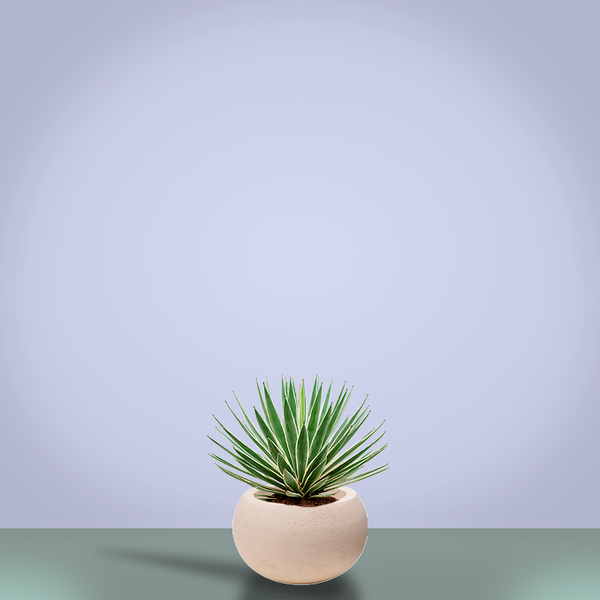 Кашпо Baq Polystone Plain Bowl Natural, Розмір S