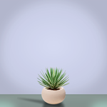 Кашпо Baq Polystone Plain Bowl Natural, Розмір S