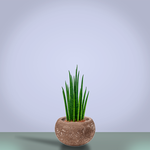 Кашпо Baq Polystone Plain Bowl Rock, Розмір S