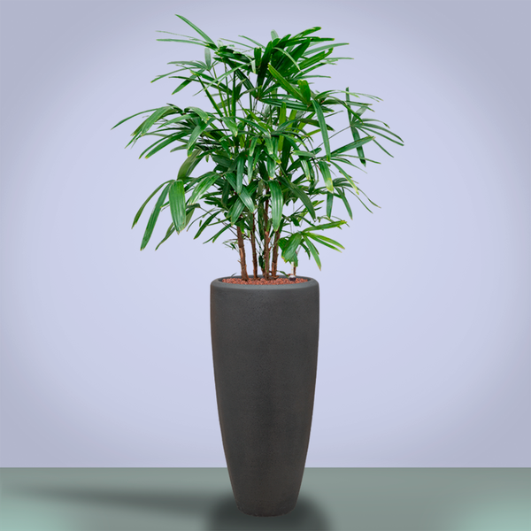 Кашпо Baq Polystone Plain  Partner smoke (с вкладышем), M