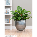 Planter Nieuwkoop Baq Metallic Globe Elevated Matt Silver Blue, M