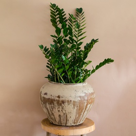 Planter Nieuwkoop Baq Mystic Ocean Atlantis