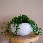 Planter Nieuwkoop Baq Rockwell White