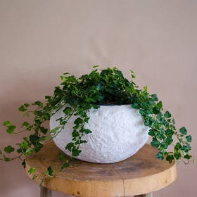 Planter Nieuwkoop Baq Rockwell White