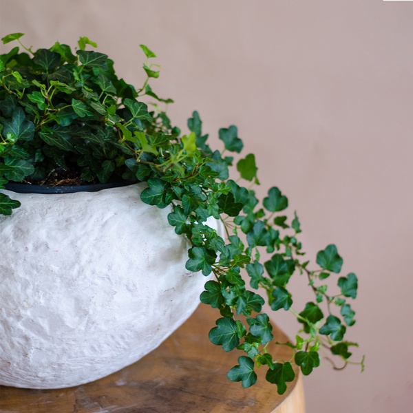 Planter Nieuwkoop Baq Rockwell White