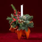 New Year's composition in the planter Bull, amber