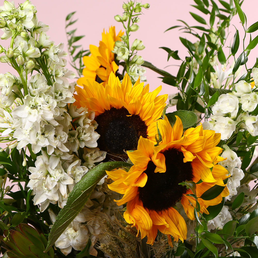 Sunlit September