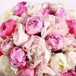 Bouquet of 51 peonies mix