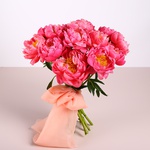 Bouquet of 15 coral peonies