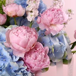 The smaller «Pastel Breeze» — a bouquet of hydrangeas and peonies