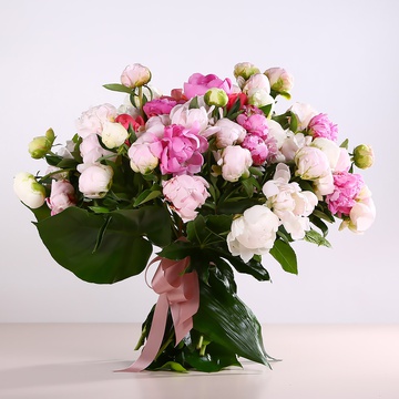 Bouquet of 51 delicate peonies