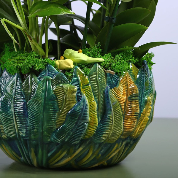 Green mini orchids in a vase "Botanical touch"