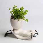 The "Green Relax" interior arrangement