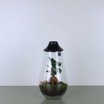 Composition terarium LED