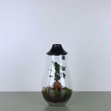 Composition terarium LED