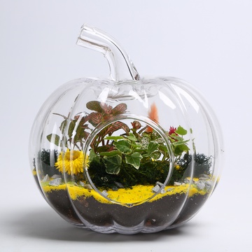 Terrarium composition