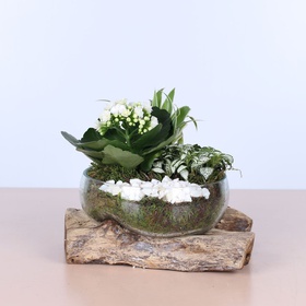 Landing in a glass vase, M