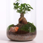 Florarium in a jar