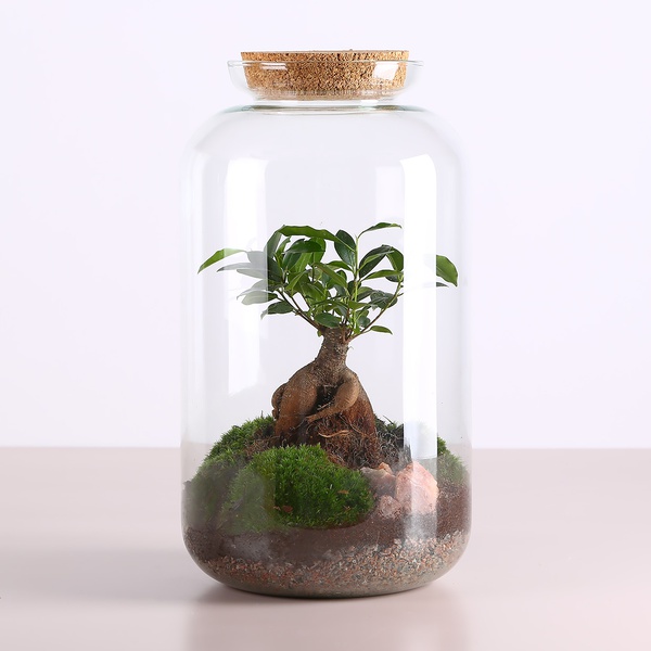 Florarium in a jar