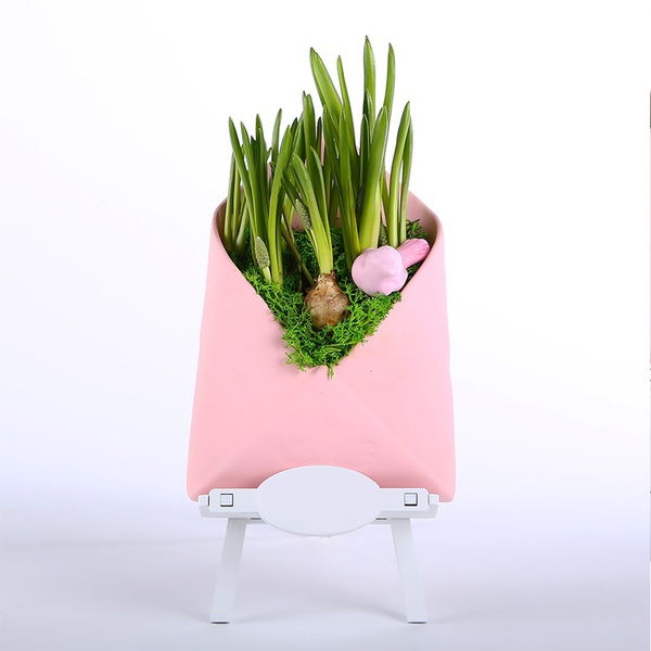 Muscari in an envelope