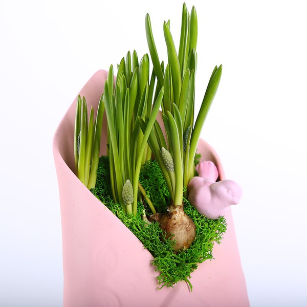 Muscari in an envelope