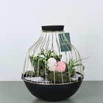 Composition with plants L