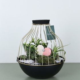 Composition with plants L
