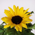 Decorative sunflower