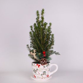 The Christmas arrangement “Winter Conica”