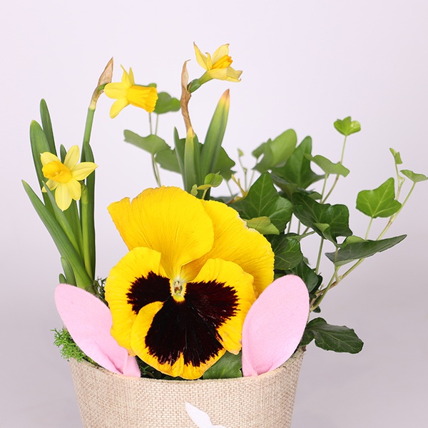 Gift set "Spring lawn"