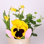 Gift set "Spring lawn"