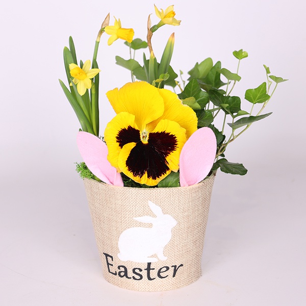 Gift set "Spring lawn"