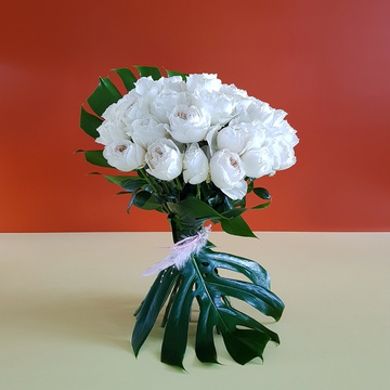 25 White Ohara roses bouquet