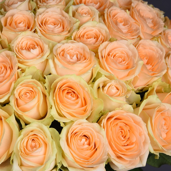 Букет из 101 персиковой розы