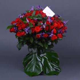 Bouquet of 101 red roses El Toro and clematis