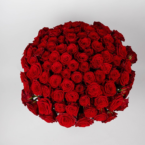 Вouquet of 101 roses by Mary Mee