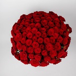 Вouquet of 101 roses by Mary Mee